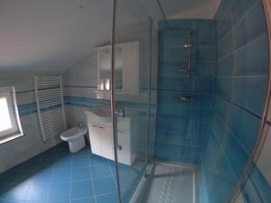 塞扎纳Attic apartment with a terrace的一间带玻璃淋浴和卫生间的浴室