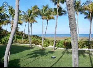 迈阿密KEY BISCAYNE BEACH VACATION #3的棕榈树客房可欣赏海滩美景