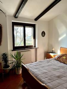 里韦尔加罗Apartment in Villa La Carruba的一间卧室设有一张大床和一个窗户。