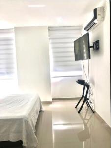 布埃纳文图拉Apartamento Buenaventura的一间卧室配有一张床、一台电视和一把椅子
