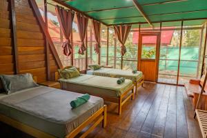马尔多纳多港Aroldo Amazon Lodge的带窗户的客房内的两张床