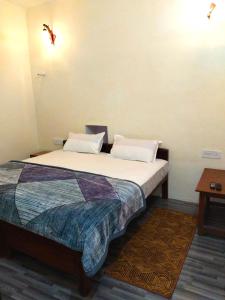 RājgarhBAGH VILLA HOME STAY的一间卧室,卧室内配有一张大床
