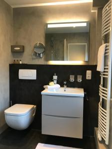 旺格兰Pension Landart的一间带水槽、卫生间和镜子的浴室
