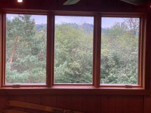 艾恩伍德U.P Norse A-frame close to Powderhorn Ski Resort的窗户,享有树林美景