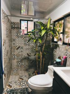 派帕Meraki_Paipa的一间带卫生间和植物的浴室