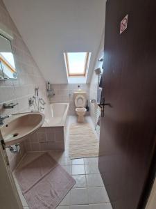 曼海姆Cheerful Roof Flat in a Private German Style House的一间带水槽和卫生间的小浴室