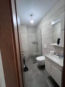 斯特鲁加Hotel Palace Struga的浴室配有卫生间、盥洗盆和淋浴。