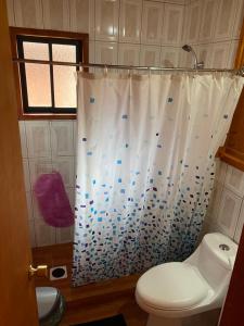 卡布尔瓜Portal Costanera Caburgua的一间带卫生间和淋浴帘的浴室