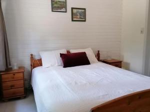威布林Authentic chalet in Wibrin with private fish pond的卧室配有白色的床和红色枕头