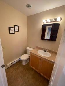 哈利法克斯Armdale Urban Lodge, Dine & Stay的一间带卫生间、水槽和镜子的浴室