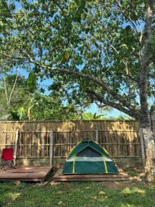 爱妮岛HIRAYA Camp Site - FREE use of SCOOTER for NIPA HUTS的树下的一个帐篷和一把椅子