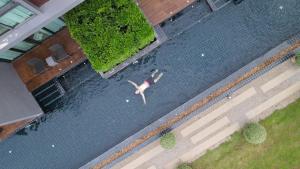 清迈Zensala Riverpark Resort-SHA Extra Plus的游泳池游泳者上方的景致