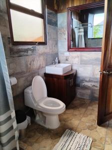 福尔图纳Casa Torre Eco- Lodge的一间带卫生间、水槽和镜子的浴室