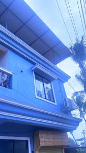 莫尔吉姆Vyana villa rooms的蓝色的房子,有窗户和棕榈树