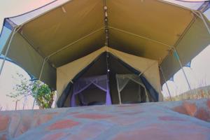 Sekenanileruk Maasai safari camp的野外的大帐篷