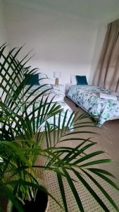 布里斯班Guesthouse in fantastic location的一间卧室配有一张床和盆栽植物