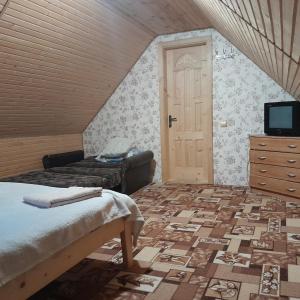 亚布卢尼齐亚Котеджі "У Яни"的一间设有床铺、电视和门的房间