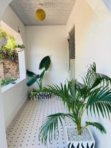 MagutuSavita House Diani的一间铺有瓷砖地板的带两株盆栽植物的房间