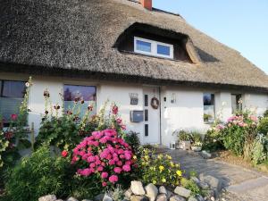 洛默Wohnung am Wanderweg zum Königsstuhl unter Reet的茅草小屋前面有鲜花