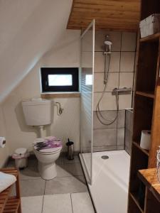 洛默Wohnung am Wanderweg zum Königsstuhl unter Reet的一间带卫生间和玻璃淋浴间的浴室