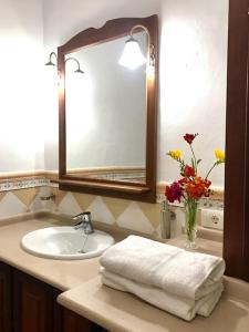 下布雷尼亚RUSTIC HOUSE LA MONTAÑA的浴室水槽,配有镜子和花瓶