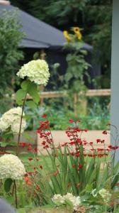 奥赫里姆Aughavannagh Yurt Glamping的种有红白色花和长凳的花园