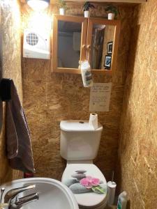 奥赫里姆Aughavannagh Yurt Glamping的一间带卫生间和水槽的浴室