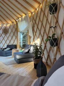 奥赫里姆Aughavannagh Yurt Glamping的蒙古包间配有沙发和植物