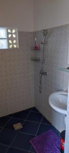 图阿马西纳appartement Villa Nancy的带淋浴和盥洗盆的浴室