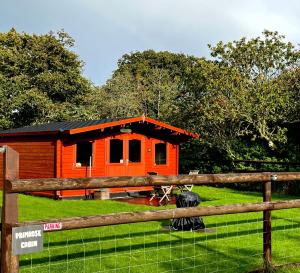 多切斯特Primrose Cabin的橙色小屋前面设有围栏