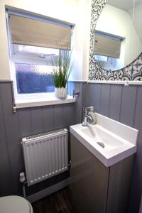 格兰瑟姆Fully renovated spacious home, Sleeps 5,的一间带水槽、镜子和散热器的浴室