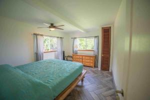 哈纳Pau Hana Paradise的一间卧室配有一张床和吊扇