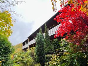 ZorgeVor lauter Bäumen B&B的一座有红叶和树木的建筑