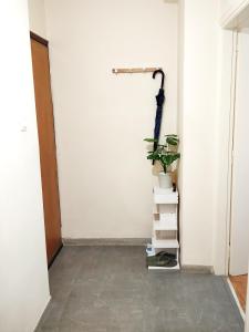 雅典生活超便利的小公寓的一间有白色墙壁的房间和一个带植物的架子