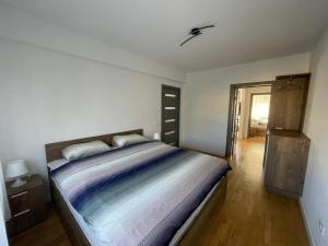 蒂米什瓦拉Lucky Home Timisoara 2的一间卧室,卧室内配有一张大床
