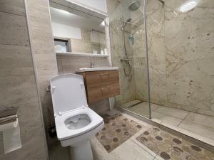 蒂米什瓦拉Lucky Home Timisoara 2的一间带卫生间和淋浴的浴室