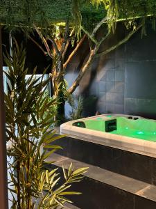 韦尔维耶Suite Marie的植物间里的一个绿色浴缸
