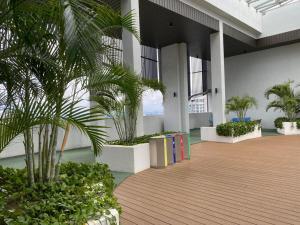 努沙再也GS home的楼内种植棕榈树和植物的走廊