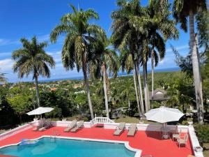 蒙特哥贝The Lodge @ Peaceful Palms的棕榈树和海洋的度假游泳池
