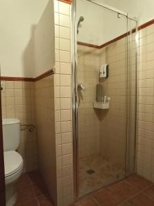 阿拉哈尔El Lucero的带淋浴和卫生间的浴室