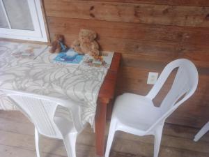 西区TOnat Caribe Hostel的坐在桌子上的泰迪熊,椅子