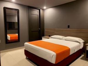 麦德林Hotel Latino Medellín的一间卧室配有一张大床和镜子