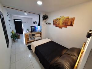 圣拉菲尔Osimiri apartamento Naturaleza y aventura的一间卧室配有一张床、一张沙发和一台电视