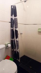 帕拉卡斯HOSPEDAJE JOSUE - paracas的带淋浴帘和卫生间的浴室
