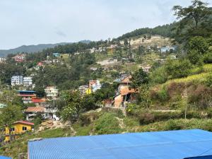 BurhānilkanthaPerfect Home Stay的山坡上一群房子,屋顶蓝色