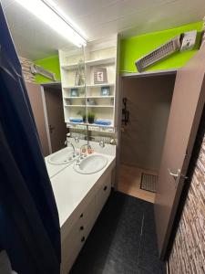 拉布雷斯Studio situé au pied des pistes de LaBresse的浴室设有两个水槽和绿色的墙壁。