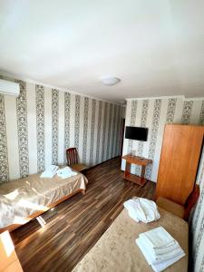 KökterekСанаторий Босага сарыагаш的客房设有两张床、一张沙发和一台电视。