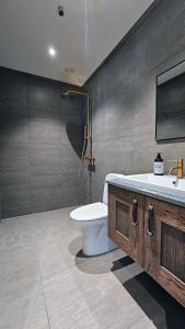 EikregardaneHuso Mountain Lodge - Hemsedal的浴室配有卫生间、盥洗盆和淋浴。