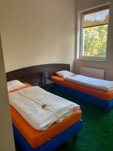 KosobudzHotel Kos的带窗户的客房内设有两张单人床。
