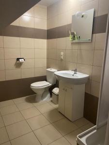 KosobudzHotel Kos的一间带卫生间和水槽的浴室